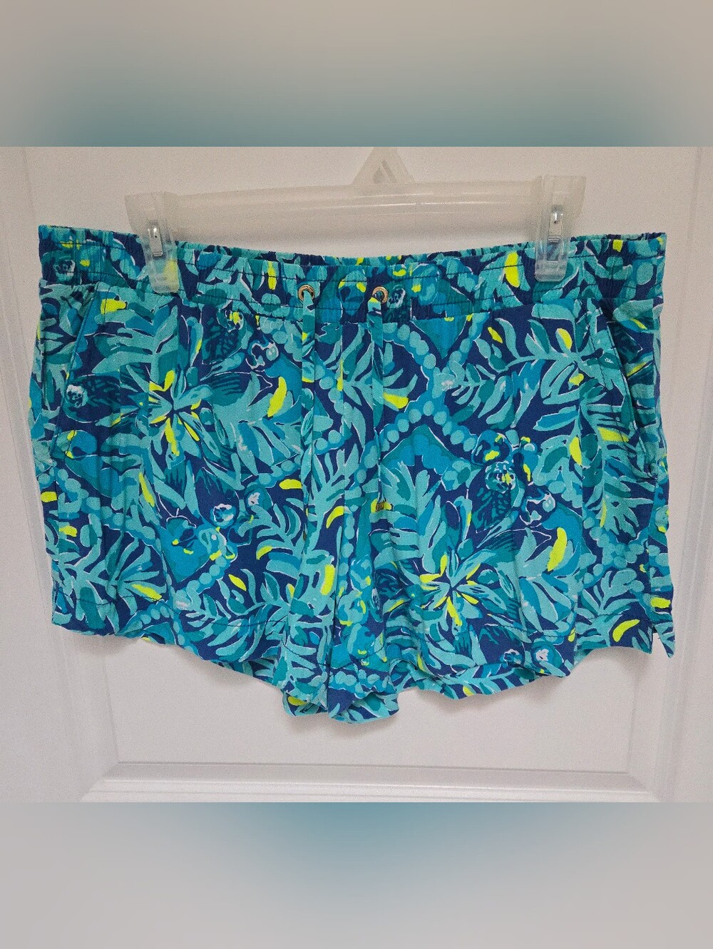 Lilly Pulitzer Katia Shorts, Size Large